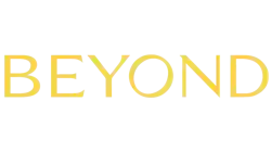 Beyond Developer